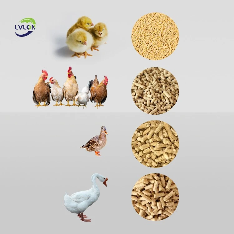 2-Poultry-Feed-Pellets-Showcase